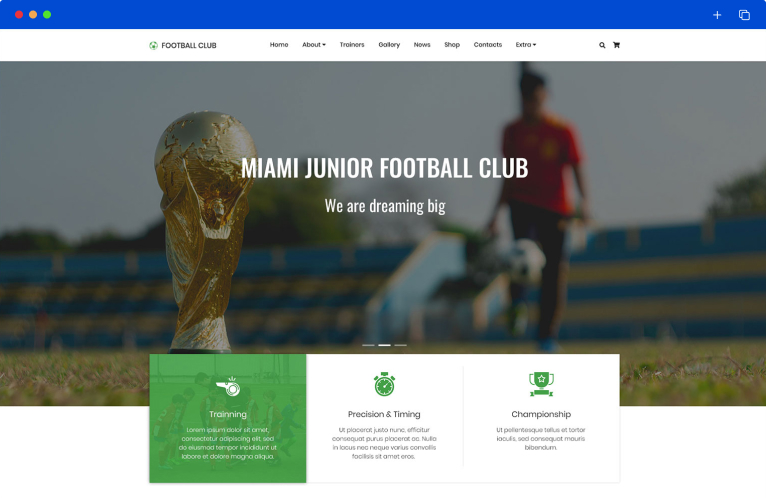 CMS Website Templates